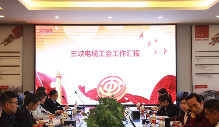 熱烈歡迎重慶市江津區(qū)總工會(huì)副主席萬鳳華一行蒞臨三峽電纜?召開模范職工之家座談會(huì)