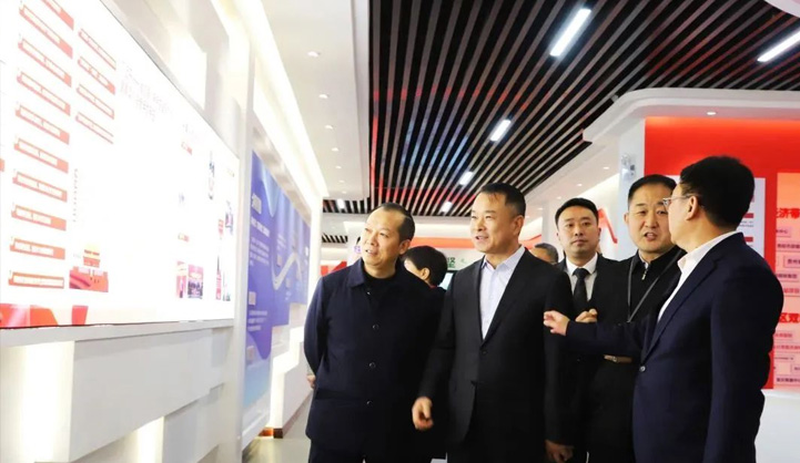 Director of the Standing Committee of the Jiangjin District People's Congress Visits