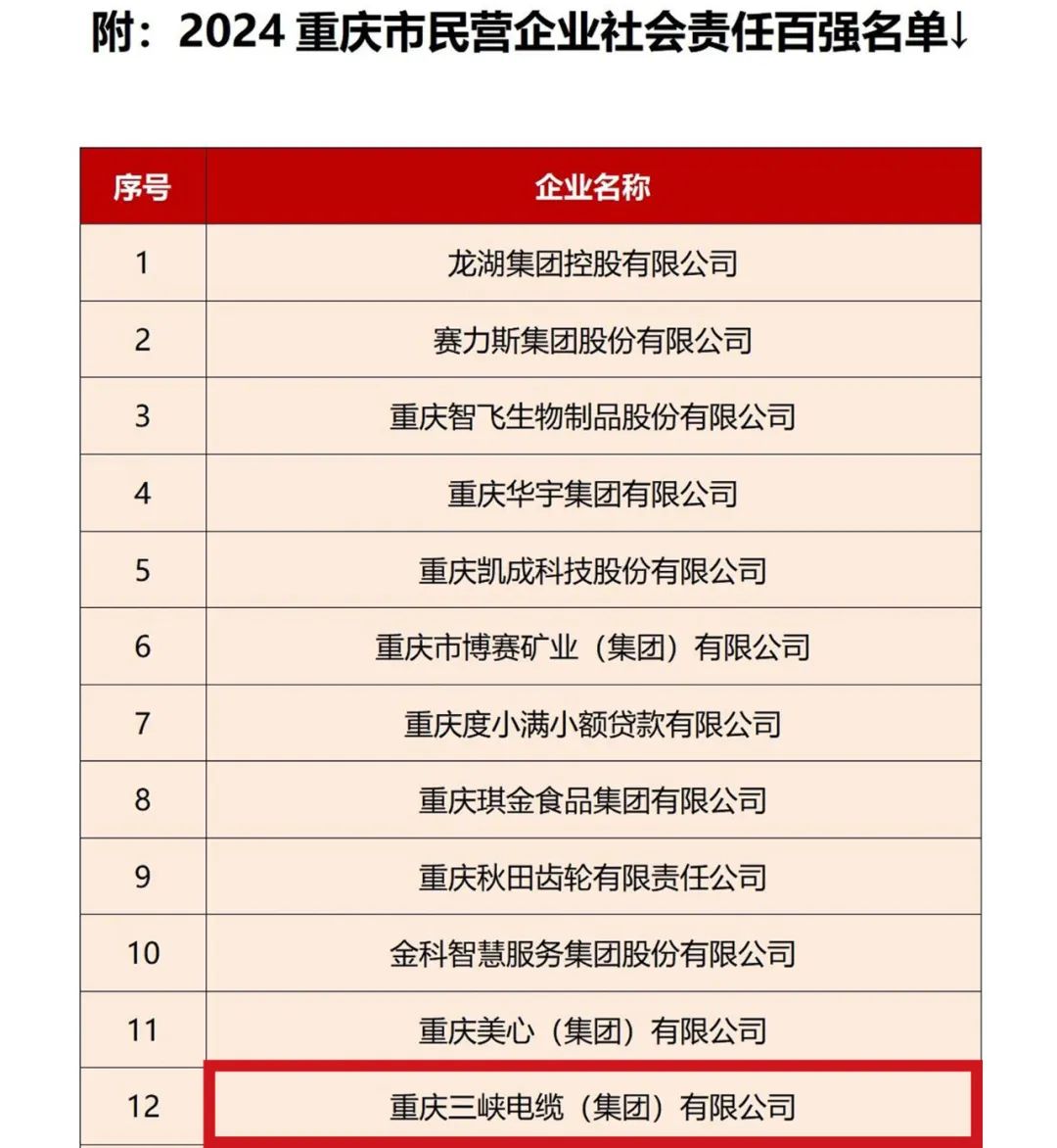榮膺“雙料”榜單，三峽電纜獲評(píng)2024重慶市民企社會(huì)責(zé)任100強(qiáng)！