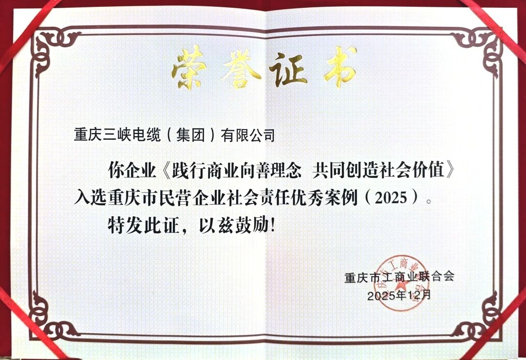 市級(jí)標(biāo)桿丨我司獲評(píng)“2025重慶市民營(yíng)企業(yè)社會(huì)責(zé)任優(yōu)秀案例”