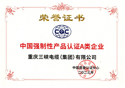 中國(guó)強(qiáng)制性產(chǎn)品認(rèn)證A類企業(yè)