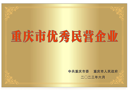 重慶市優(yōu)秀民營(yíng)企業(yè)