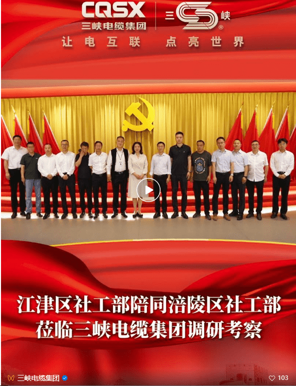 Government Leaders Visit Three Gorges Cable